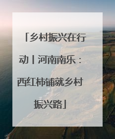 乡村振兴在行动丨河南南乐：西红柿铺就乡村振兴路