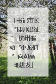 书记市长“挂帅出征” 杭州催动“小龙们”向AI高地进发