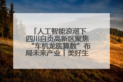 人工智能浪潮下 四川自贡高新区聚焦“车机龙医算数”布局未来产业丨美好生活有“盐”味