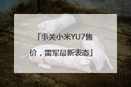 事关小米YU7售价，雷军最新表态