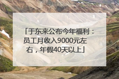 于东来公布今年福利：员工月收入9000元左右，年假40天以上
