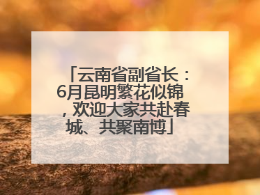 云南省副省长：6月昆明繁花似锦，欢迎大家共赴春城、共聚南博