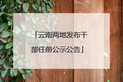 云南两地发布干部任前公示公告