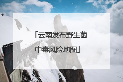 云南发布野生菌中毒风险地图