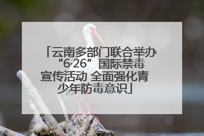 云南多部门联合举办“6·26”国际禁毒宣传活动 全面强化青少年防毒意识