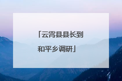 云霄县县长到和平乡调研