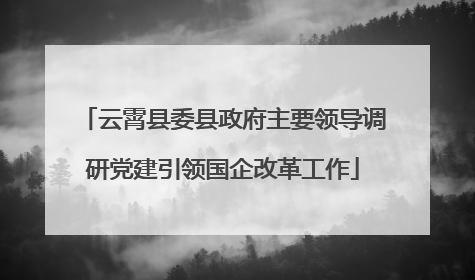 云霄县委县政府主要领导调研党建引领国企改革工作