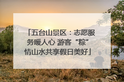 五台山景区：志愿服务暖人心 游客“粽”情山水共享假日美好