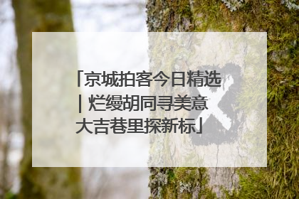京城拍客今日精选｜烂缦胡同寻美意 大吉巷里探新标