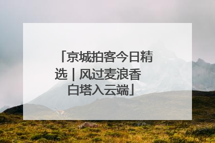 京城拍客今日精选｜风过麦浪香 白塔入云端