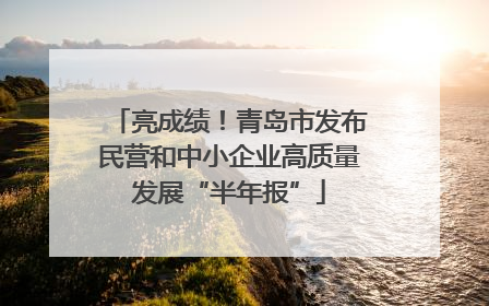 亮成绩！青岛市发布民营和中小企业高质量发展“半年报”