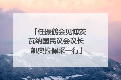 任振鹤会见博茨瓦纳国民议会议长凯奥拉佩采一行