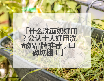 什么洗面奶好用？公认十大好用洗面奶品牌推荐，口碑爆棚！