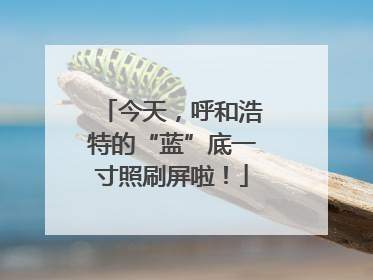 今天，呼和浩特的“蓝”底一寸照刷屏啦！