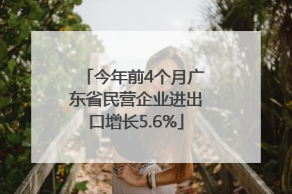 今年前4个月广东省民营企业进出口增长5.6%