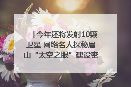 今年还将发射10颗卫星 网络名人探秘眉山“太空之眼”建设密码｜网络名人四川行