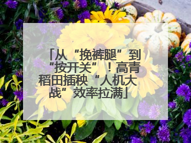 从“挽裤腿”到“按开关”！高青稻田插秧“人机大战”效率拉满