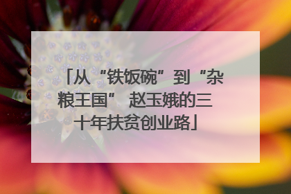 从“铁饭碗”到“杂粮王国” 赵玉娥的三十年扶贫创业路