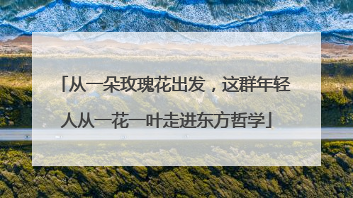 从一朵玫瑰花出发，这群年轻人从一花一叶走进东方哲学