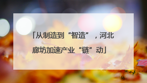从制造到“智造”，河北廊坊加速产业“链”动
