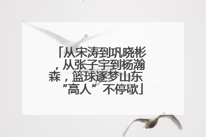 从宋涛到巩晓彬，从张子宇到杨瀚森，篮球逐梦山东“高人”不停歇