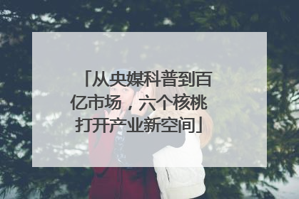 从央媒科普到百亿市场，六个核桃打开产业新空间