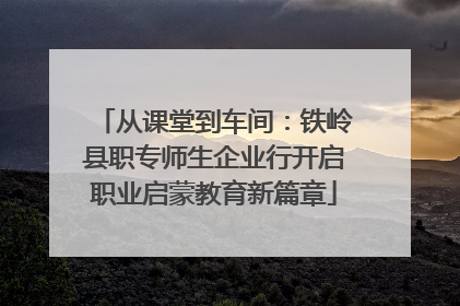 从课堂到车间：铁岭县职专师生企业行开启职业启蒙教育新篇章