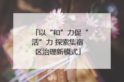 以“和”力促“活”力 探索集宿区治理新模式