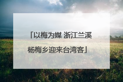 以梅为媒 浙江兰溪杨梅乡迎来台湾客