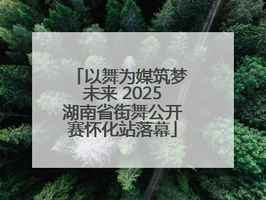 以舞为媒筑梦未来 2025湖南省街舞公开赛怀化站落幕