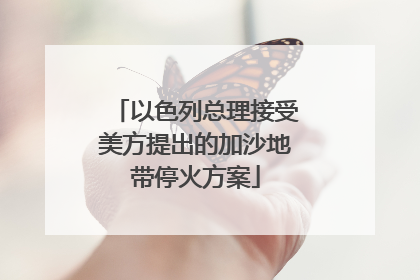 以色列总理接受美方提出的加沙地带停火方案