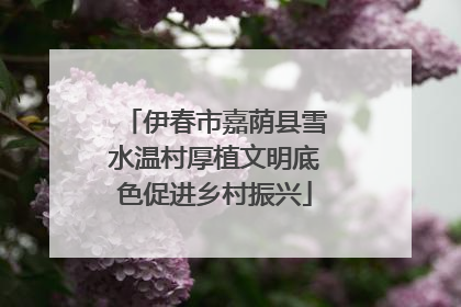伊春市嘉荫县雪水温村厚植文明底色促进乡村振兴