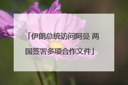 伊朗总统访问阿曼 两国签署多项合作文件