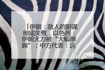 伊朗：敌人的阴谋彻底失败，以色列：伊朗火力被“大幅削弱”；中方代表：这次不能再有欺骗