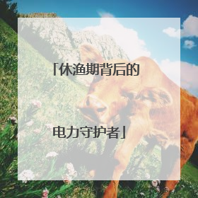 休渔期背后的电力守护者