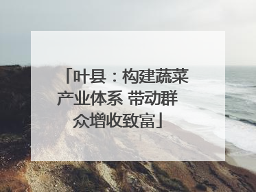 叶县：构建蔬菜产业体系 带动群众增收致富