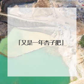 又是一年杏子肥