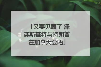 又要见面了 泽连斯基将与特朗普在加拿大会晤