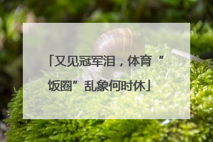 又见冠军泪，体育“饭圈”乱象何时休