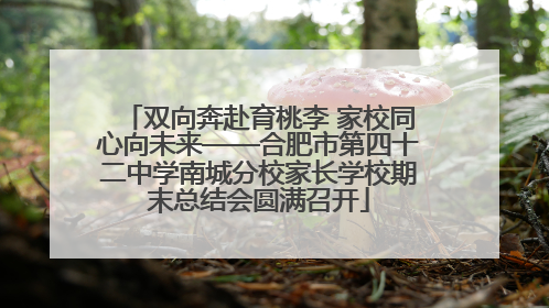 双向奔赴育桃李 家校同心向未来——合肥市第四十二中学南城分校家长学校期末总结会圆满召开