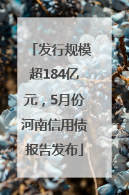 发行规模超184亿元，5月份河南信用债报告发布