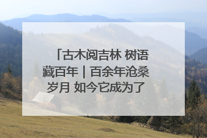 古木阅吉林 树语藏百年｜百余年沧桑岁月 如今它成为了“镇园之宝”