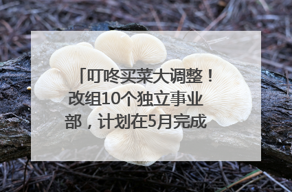 叮咚买菜大调整！改组10个独立事业部，计划在5月完成App端全面改版