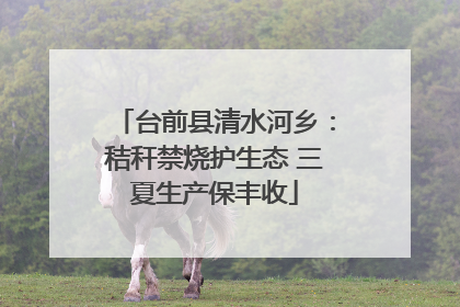 台前县清水河乡：秸秆禁烧护生态 三夏生产保丰收