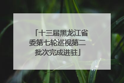 十三届黑龙江省委第七轮巡视第二批次完成进驻