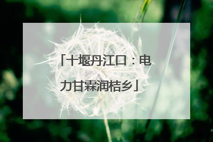 十堰丹江口：电力甘霖润桔乡