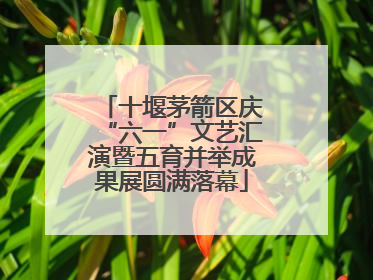 十堰茅箭区庆“六一”文艺汇演暨五育并举成果展圆满落幕