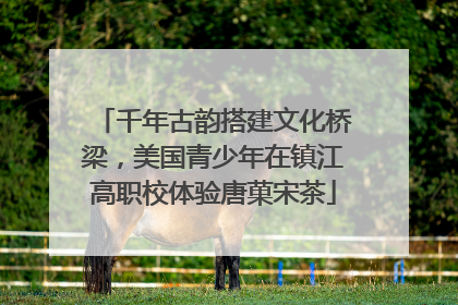 千年古韵搭建文化桥梁，美国青少年在镇江高职校体验唐菓宋茶