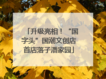 升级亮相！“国字头”国潮文创店首店落子潘家园