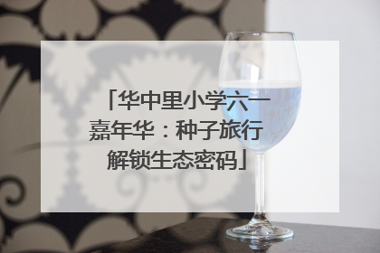 华中里小学六一嘉年华：种子旅行解锁生态密码